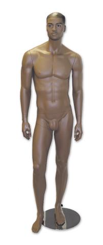 MALE #420 BROWN